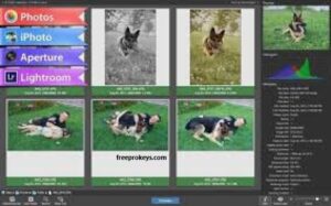PhotoSweeper X 4.6.0 Crack + Serial Key Free Download 2022